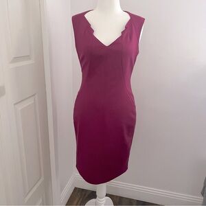 NWT Elegant Magenta Sleeveless Dress
